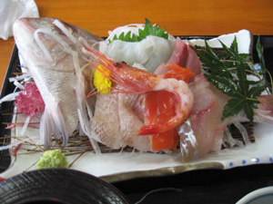 small group guided tours of Japan