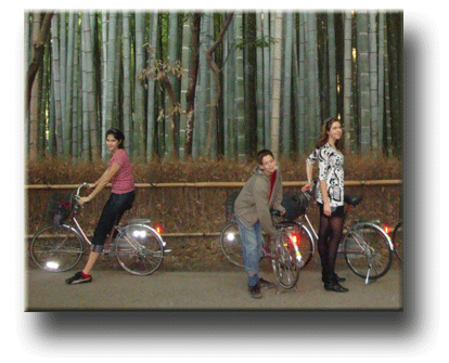 small group tour of japan